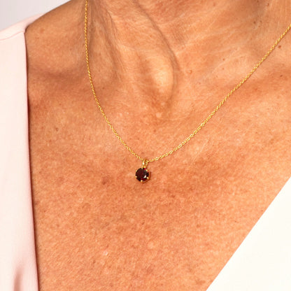 January Birthstone Necklace - Garnet